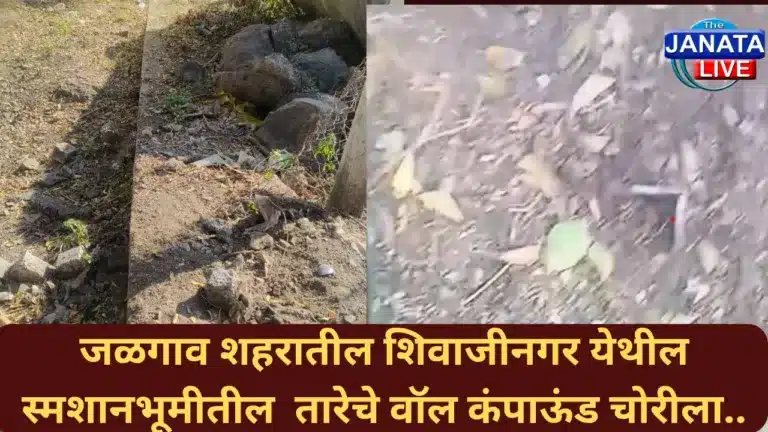 10 January, 2025_20251228_113644_0000